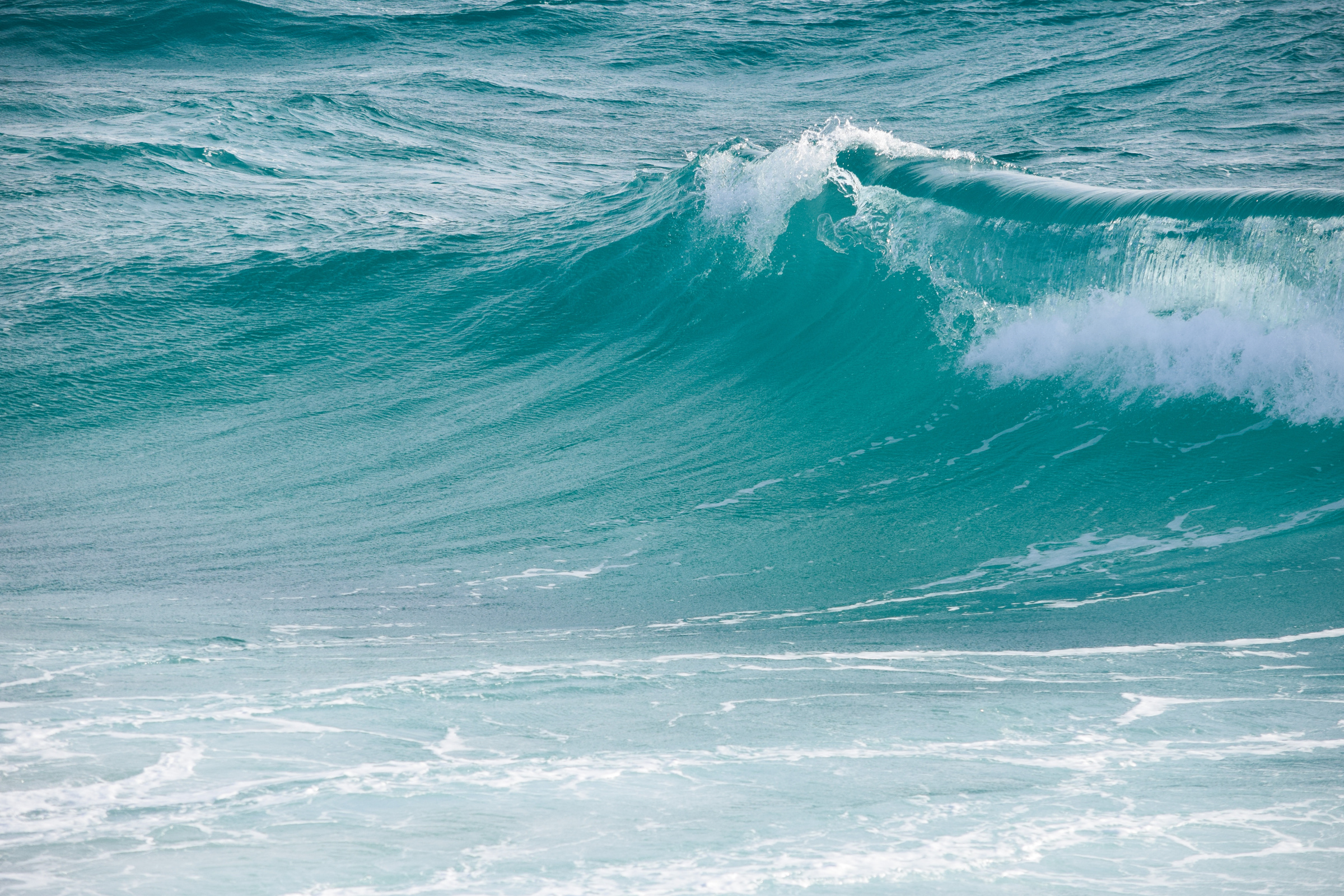 Waves in the Ocean