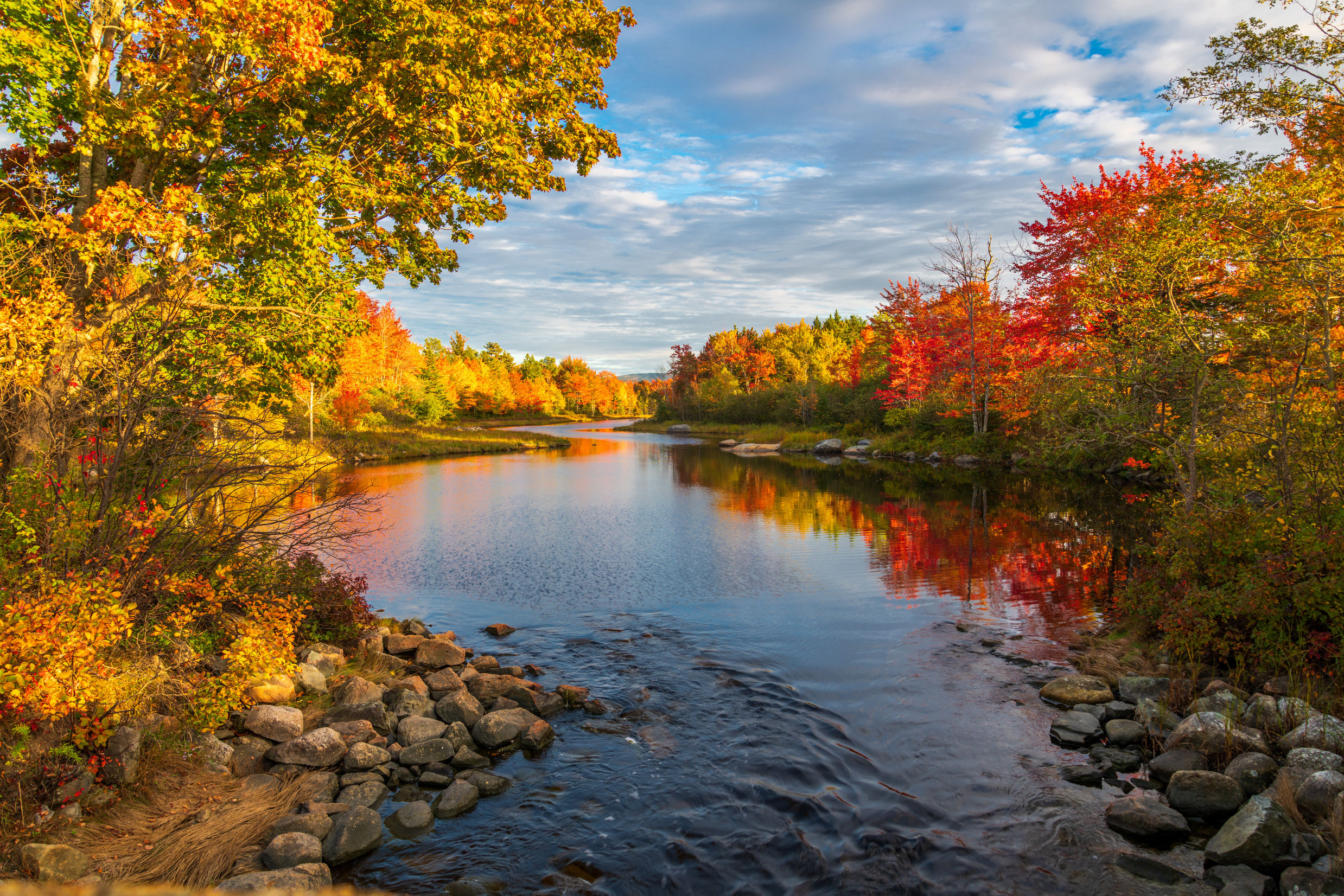 Autumn forest near flowing river